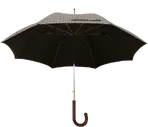 Guarda-chuva